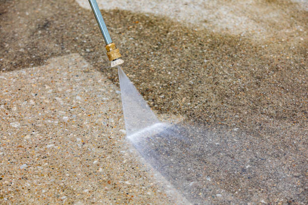 Best Driveway Pressure Washing  in Petersburg, IN