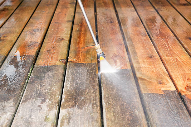 Best Animal Enclosure Cleaning  in Petersburg, IN